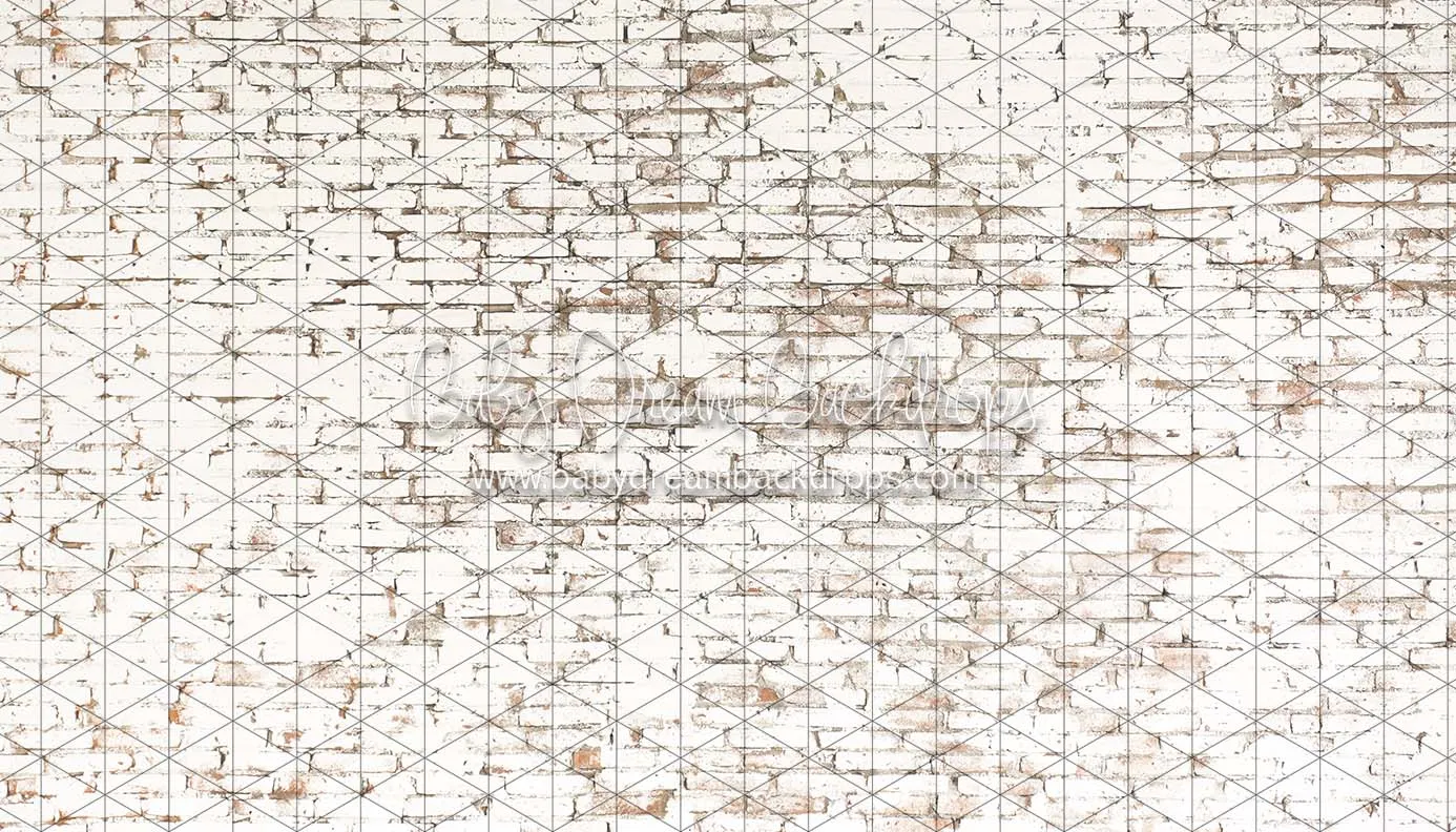 Blizzard Brick (CC)