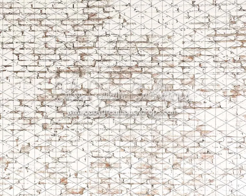 Blizzard Brick (CC)