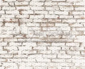 Blizzard Brick (CC)