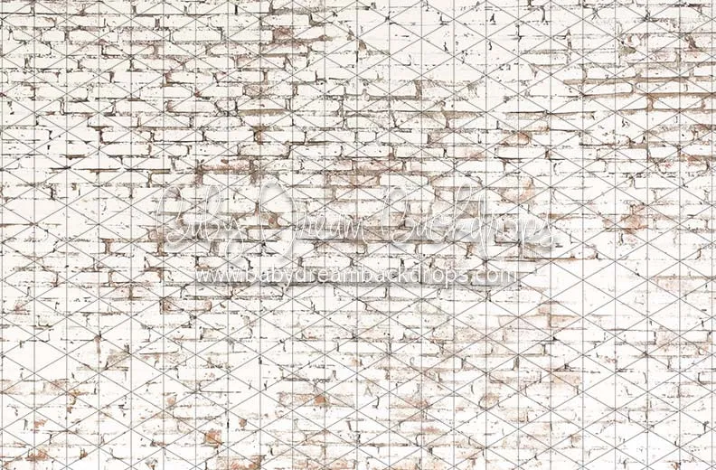 Blizzard Brick (CC)