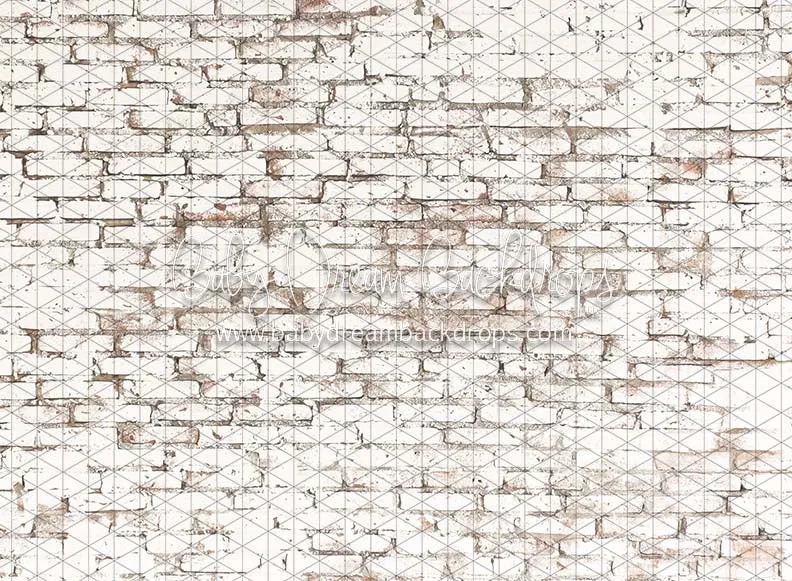 Blizzard Brick (CC)