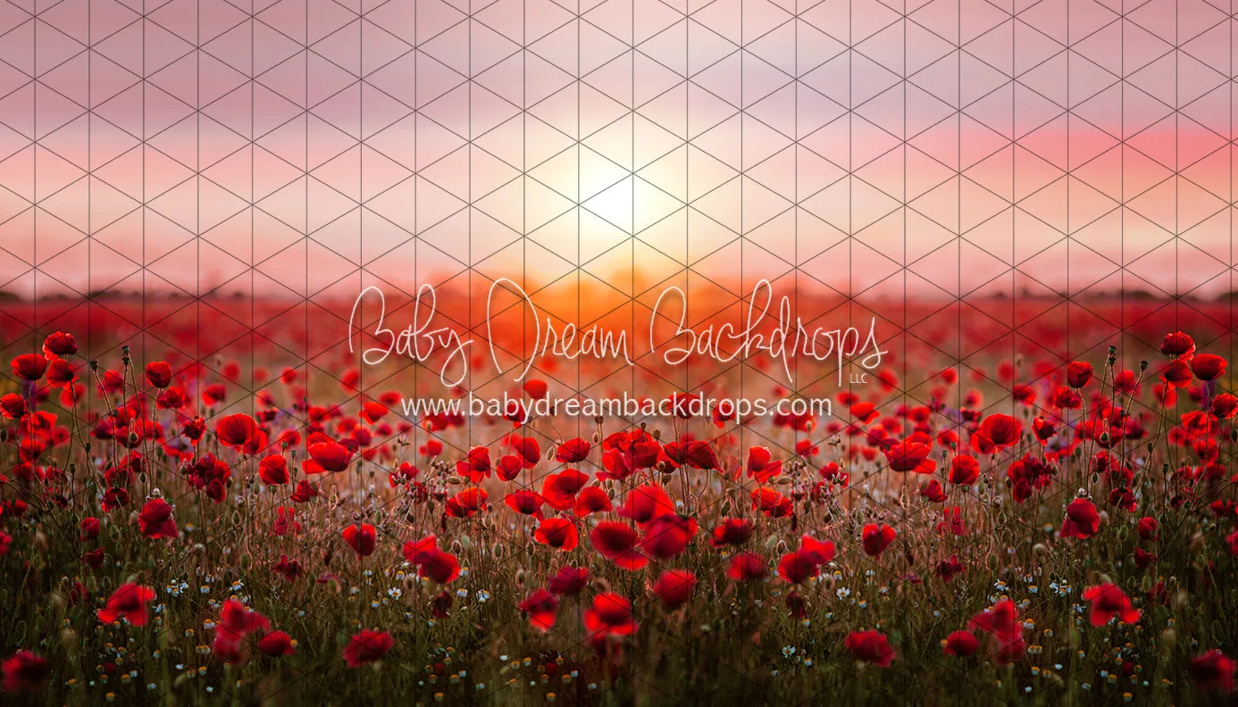 Poppy Dance (CC)