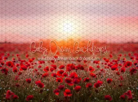 Poppy Dance (CC)