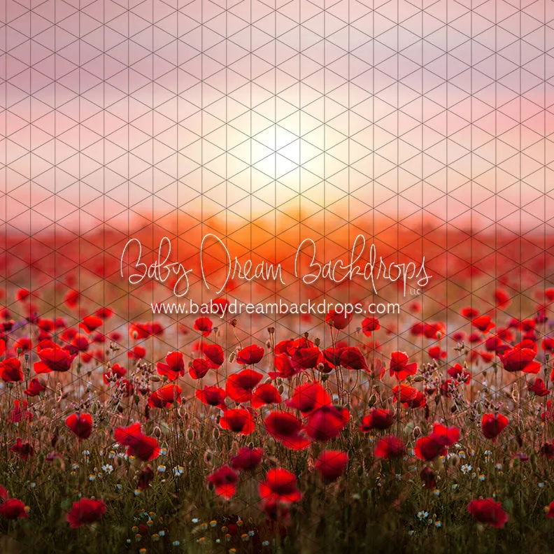 Poppy Dance (CC)