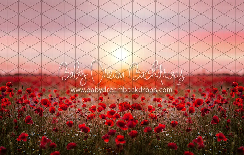 Poppy Dance (CC)