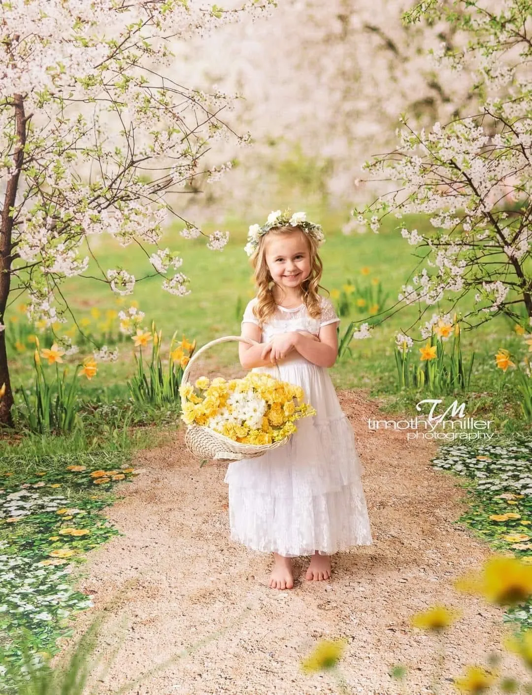 Sweeps Simple Spring Path (CC)